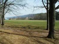 DSCF0010.webp