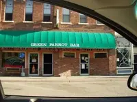 green parrot bv.webp