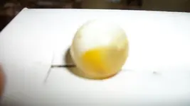 100_4426.webp