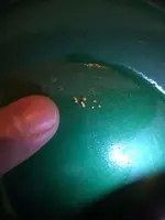 ImageUploadedByTreasureNet.com1461373123.749769.webp