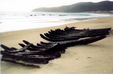 structural_futtock_timbers_from_the_wreck_at_smoky_558cfaef68.jpg
