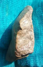 20160330_152239-2.webp