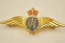 RCAF Pin 003.webp