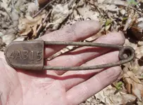 safety pin.webp