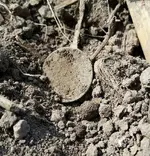 20160510_102346_resized-crop.webp