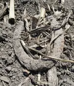 20160510_120518_resized-crop.webp