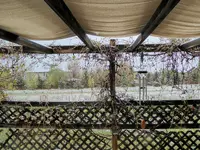 sat 043016 2.webp