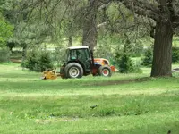 IMG_3956.webp IMG_3956.webp