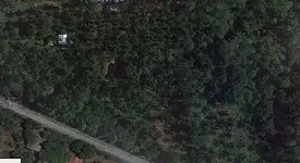Map.webp