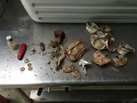 ImageUploadedByTreasureNet.com1460000049.198464.webp
