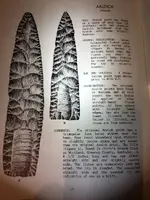 ImageUploadedByTreasureNet.com1460698620.885521.webp