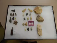 DSCN1336.webp