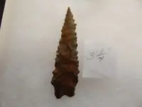 DSCN1337.webp