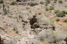 image.webp