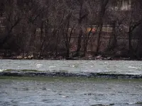 DSCN0159.webp