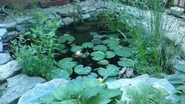 IMAG0376.webp