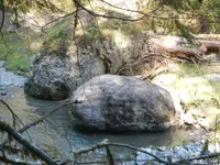 aDSCN0846.webp