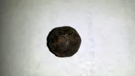 round ball.webp