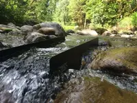 ImageUploadedByTreasureNet.com1462055455.200481.webp