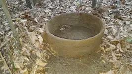 1458915349888.webp