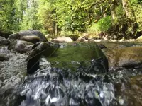 ImageUploadedByTreasureNet.com1462055645.685316.webp