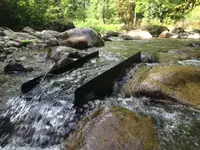 ImageUploadedByTreasureNet.com1462055658.784356.webp