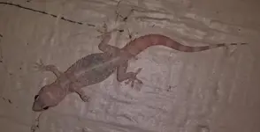20150326_203909.webp