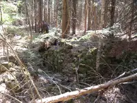 006.webp