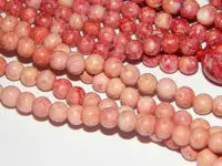 DSCN1690.webp