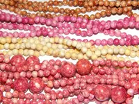 DSCN1686.webp