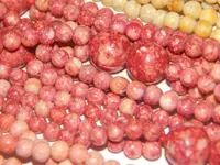 DSCN1689.webp