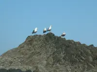 DSCF0035.webp