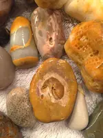 ImageUploadedByTreasureNet.com1463022752.920827.webp