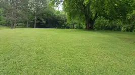 park.webp
