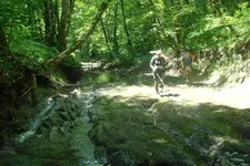 26.webp 26.webp