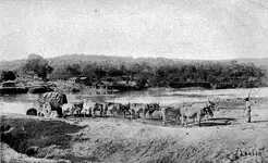 river-ox-wagon-01.webp