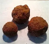 Canonball 3.webp Canonball 3.webp