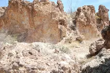 image.webp