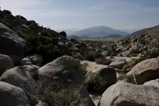 LookingWestDownTrailFromGlyphs.webp