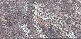 Wierd Wall.webp