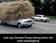 untitled trumps car.webp untitled trumps car.webp