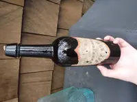 DSCF0099.webp