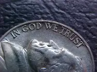 43P5cob2.webp