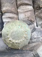 ImageUploadedByTreasureNet.com1460061154.225619.webp