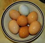 DSCN0021.webp