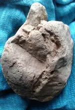 20160330_144929-1.webp