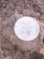 ImageUploadedByTreasureNet.com1460072833.871785.webp