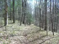 100_4020.webp