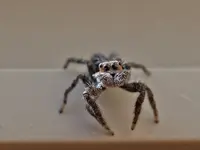 wryuiojh.webp