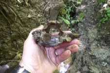 Rodney hunt 4-23-16 010.webp